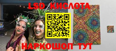 дживик Новозыбков