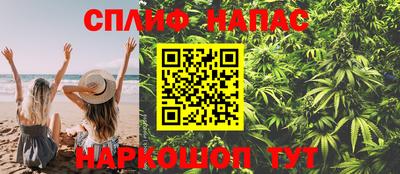 дживик Новозыбков