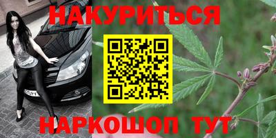 дживик Новозыбков