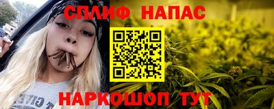 дживик Новозыбков