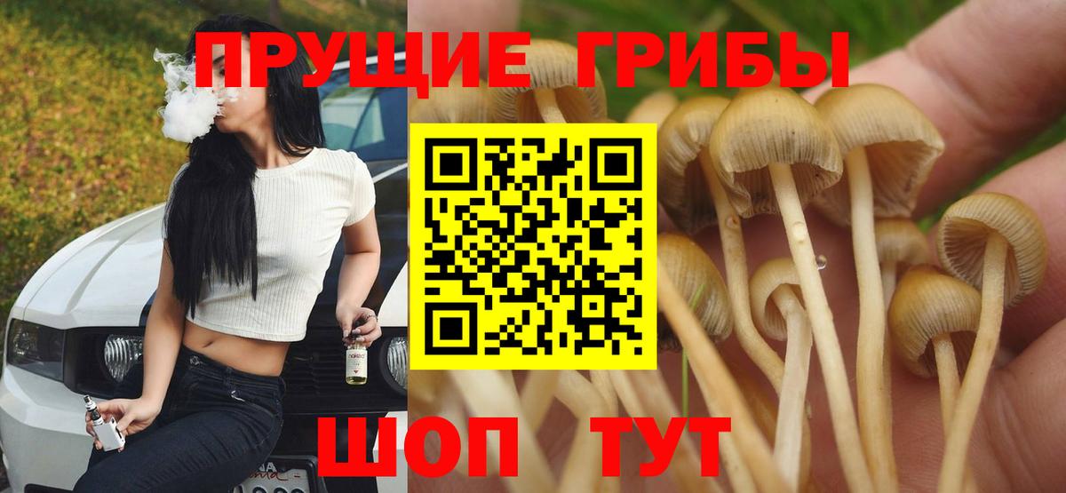 Галлюциногенные грибы Magic Shrooms Усинск